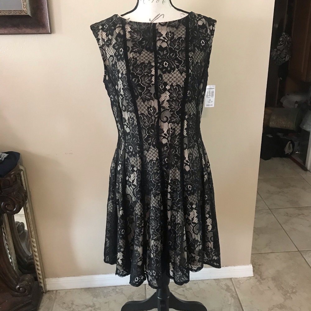 Dress barn  lace cocktail dress